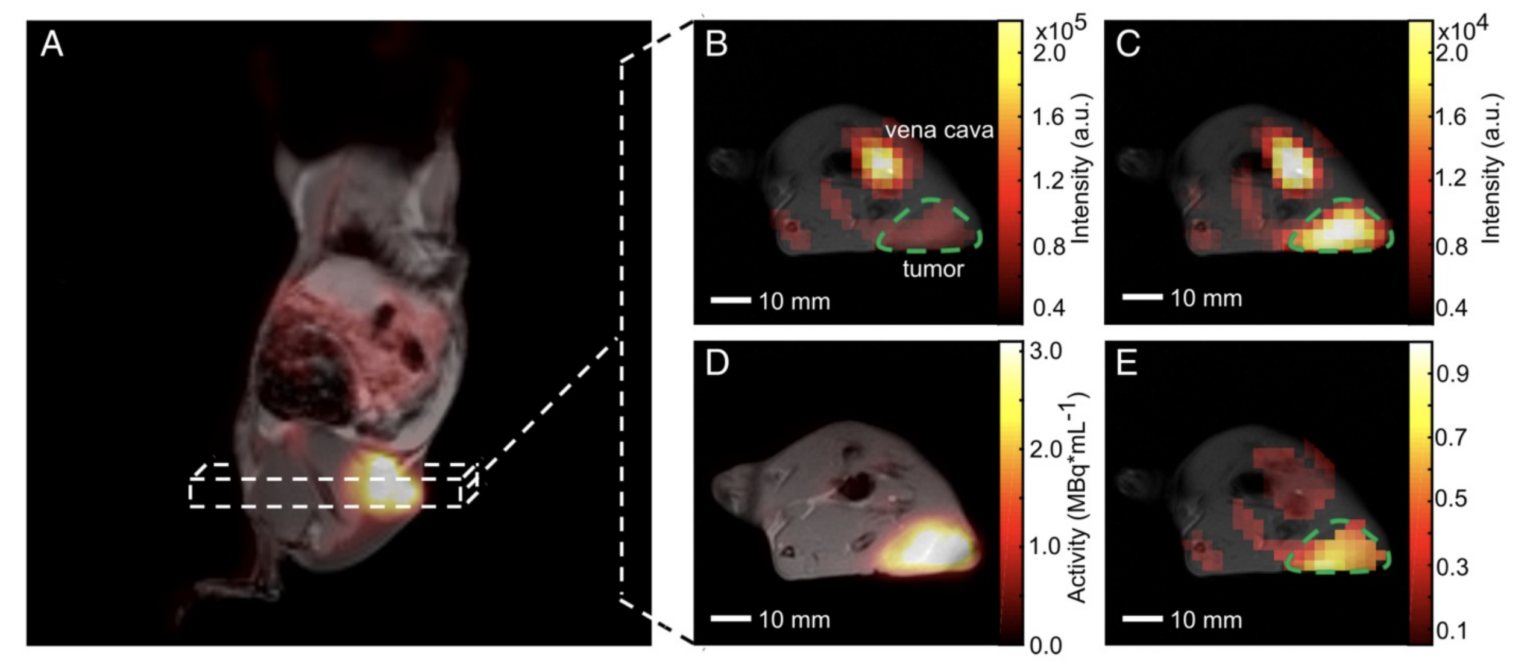 Multimodal Metabolic Imaging – Schilling Lab