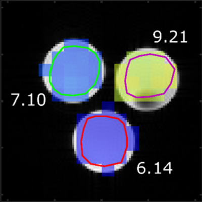 pH Dependence of T2 for Hyperpolarizable 13C-Labelled Small Molecules Enables Spatially Resolved pH Measurement by Magnetic Resonance Imaging