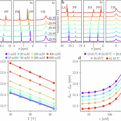 Temperature dependent chemical shifts of pyruvate and lactate